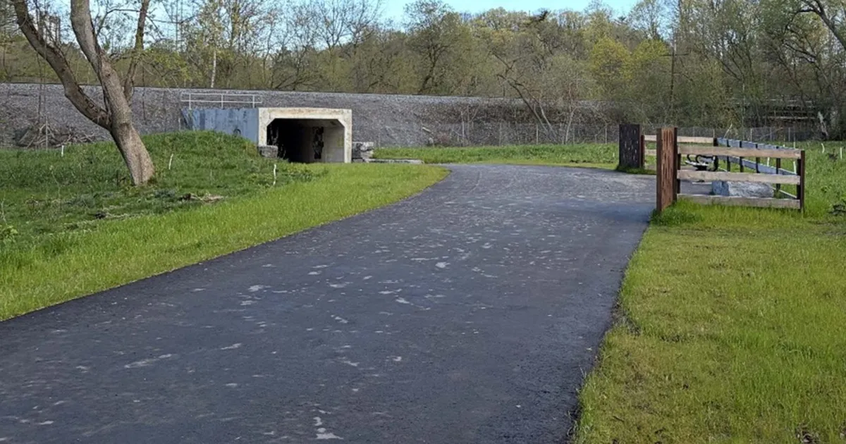 East Don Trail Phase 1 opens Sunday, closing major gap in Toronto ravine network