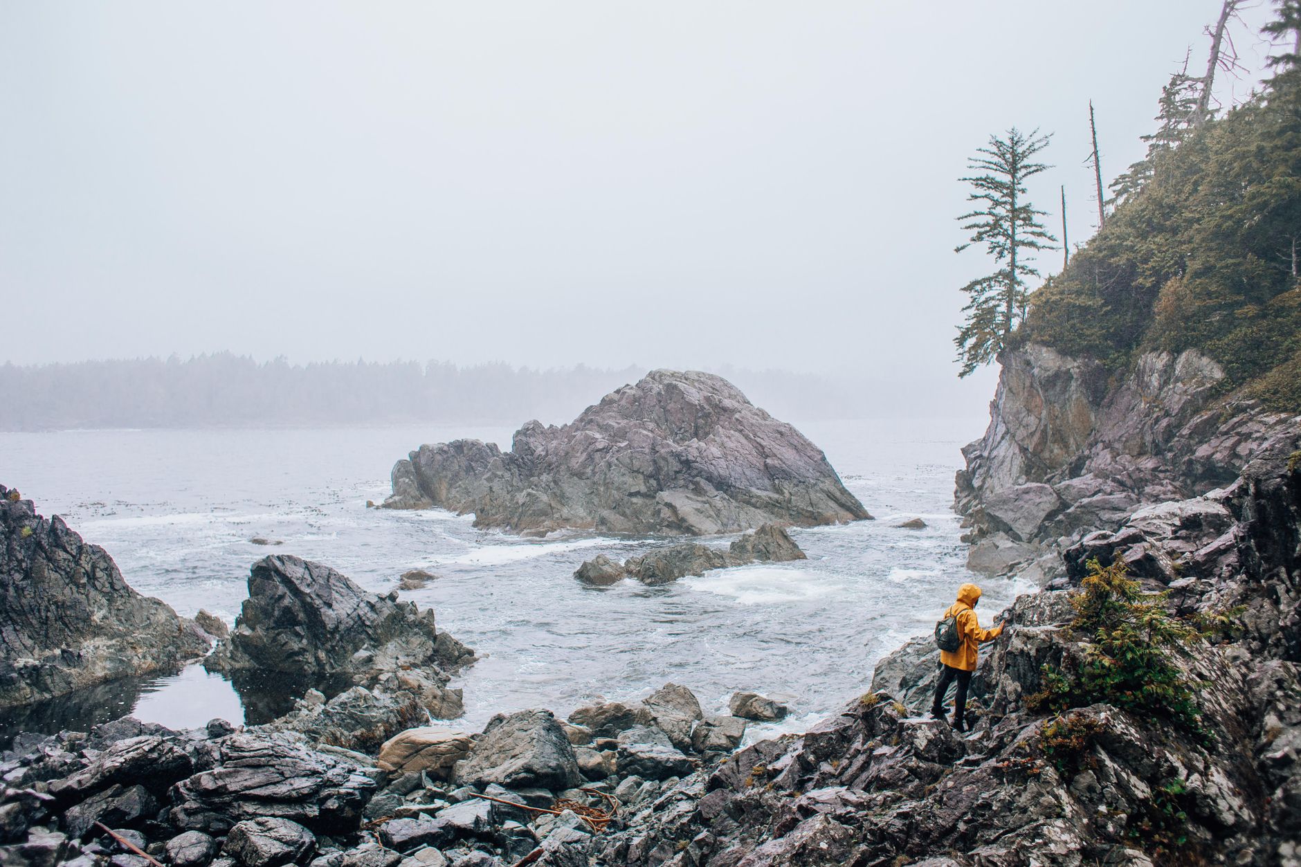 Teen hiker rescued from North Shore cliff after AI-planned route went wrong