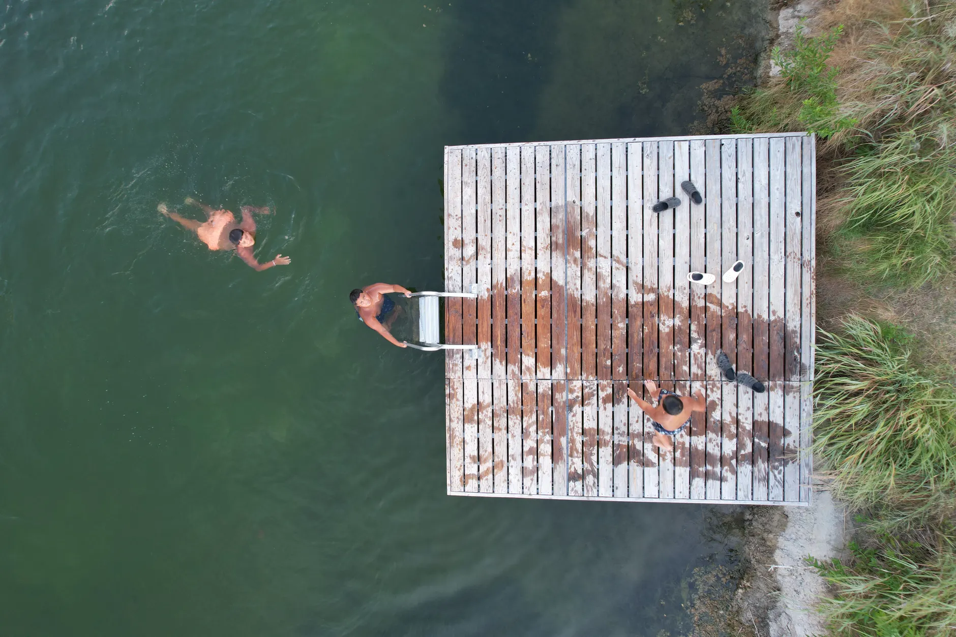 Canada Day at the NCC's new swimming dock: first time in the capital's water