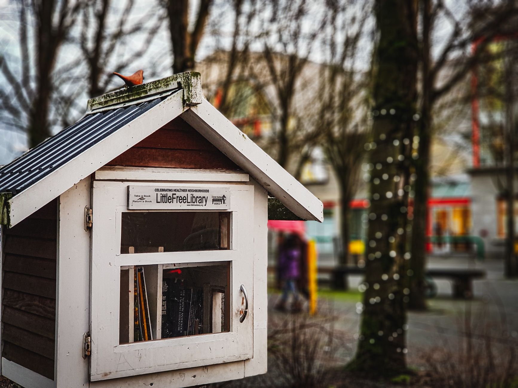 Little Free Libraries are quietly reshaping Calgary's reading landscape, one neighbourhood at a time