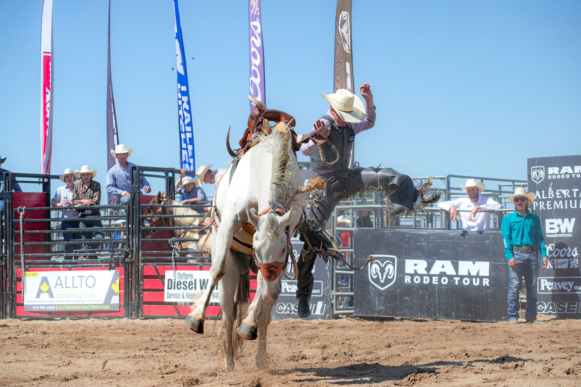Screwworm ban forces Stampede rodeo competitors to find new horses