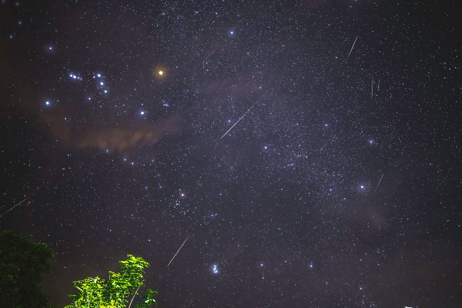 Multiple meteor showers and 'fireballs' peak over Metro Vancouver this November