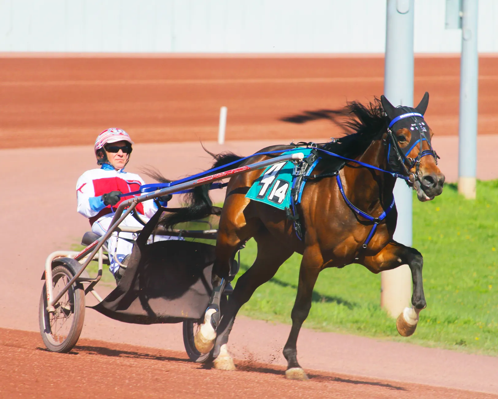 Jason Glass climbs to seventh in Calgary Stampede chuckwagon racing after penalty-free runs
