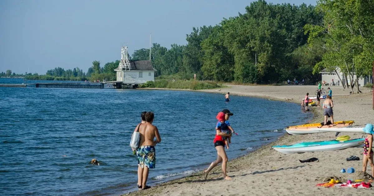 Toronto beaches closed due to elevated E. coli after recent rainfall