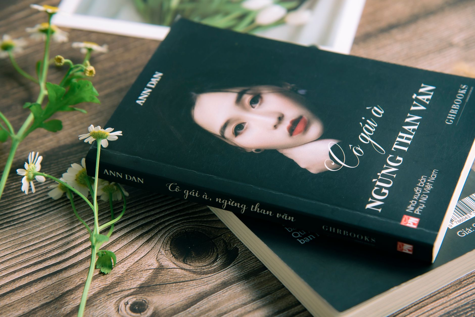 Tegan Quin's debut novel explores Christmas divided: twins, a rock-star dad, and family chaos