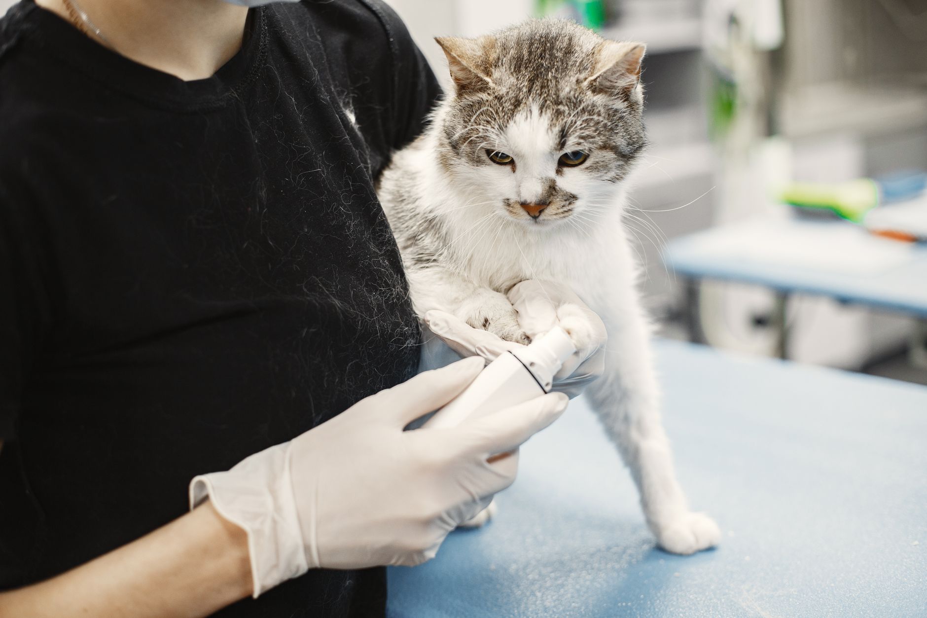 Okotoks' emergency vet clinic SAVE closes August 30 after difficult decision