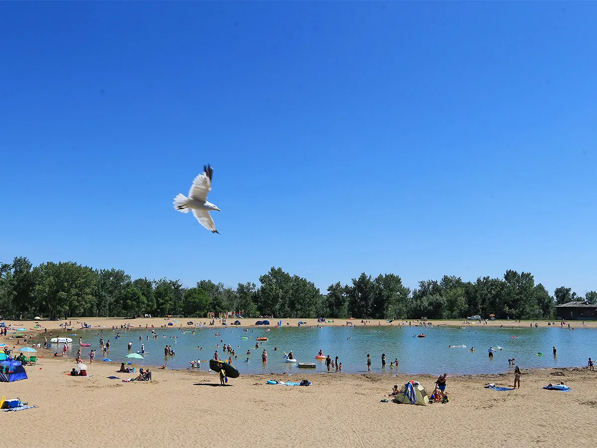 Swimmer's itch reported at Sikome Lake after recent visitors contract parasite