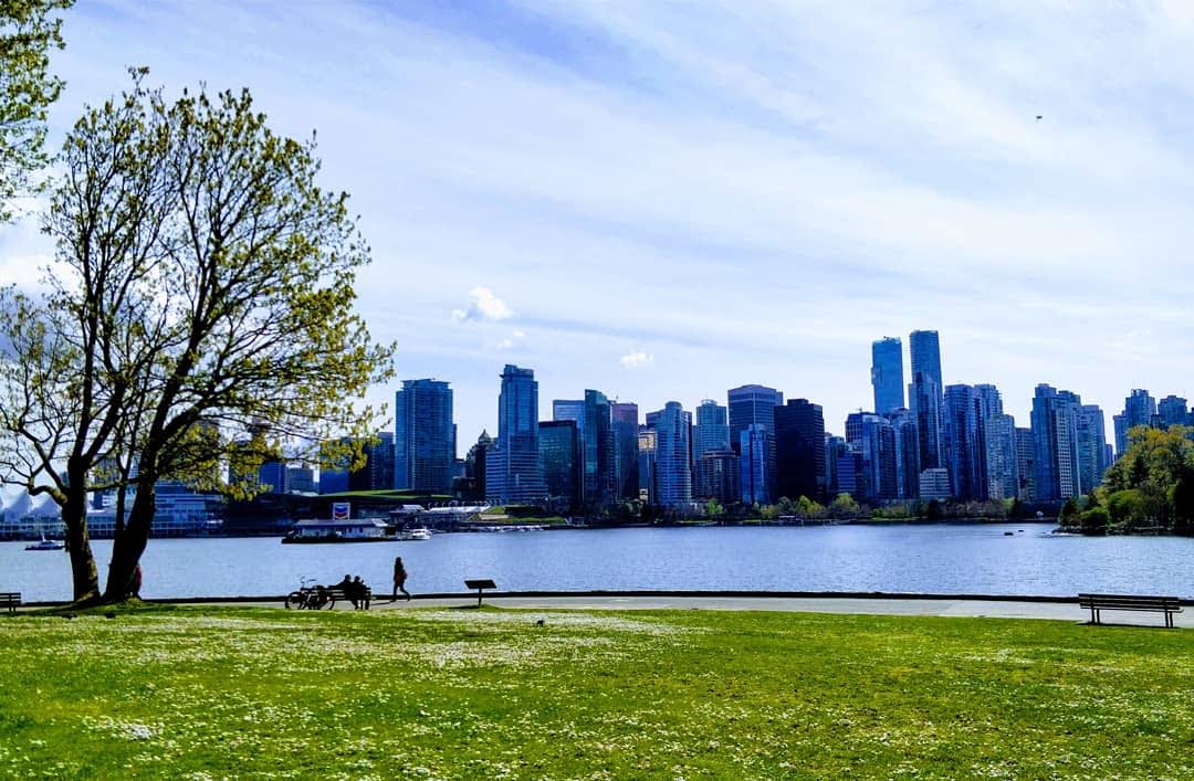 Orcas spotted repeatedly under Lions Gate Bridge and at Stanley Park