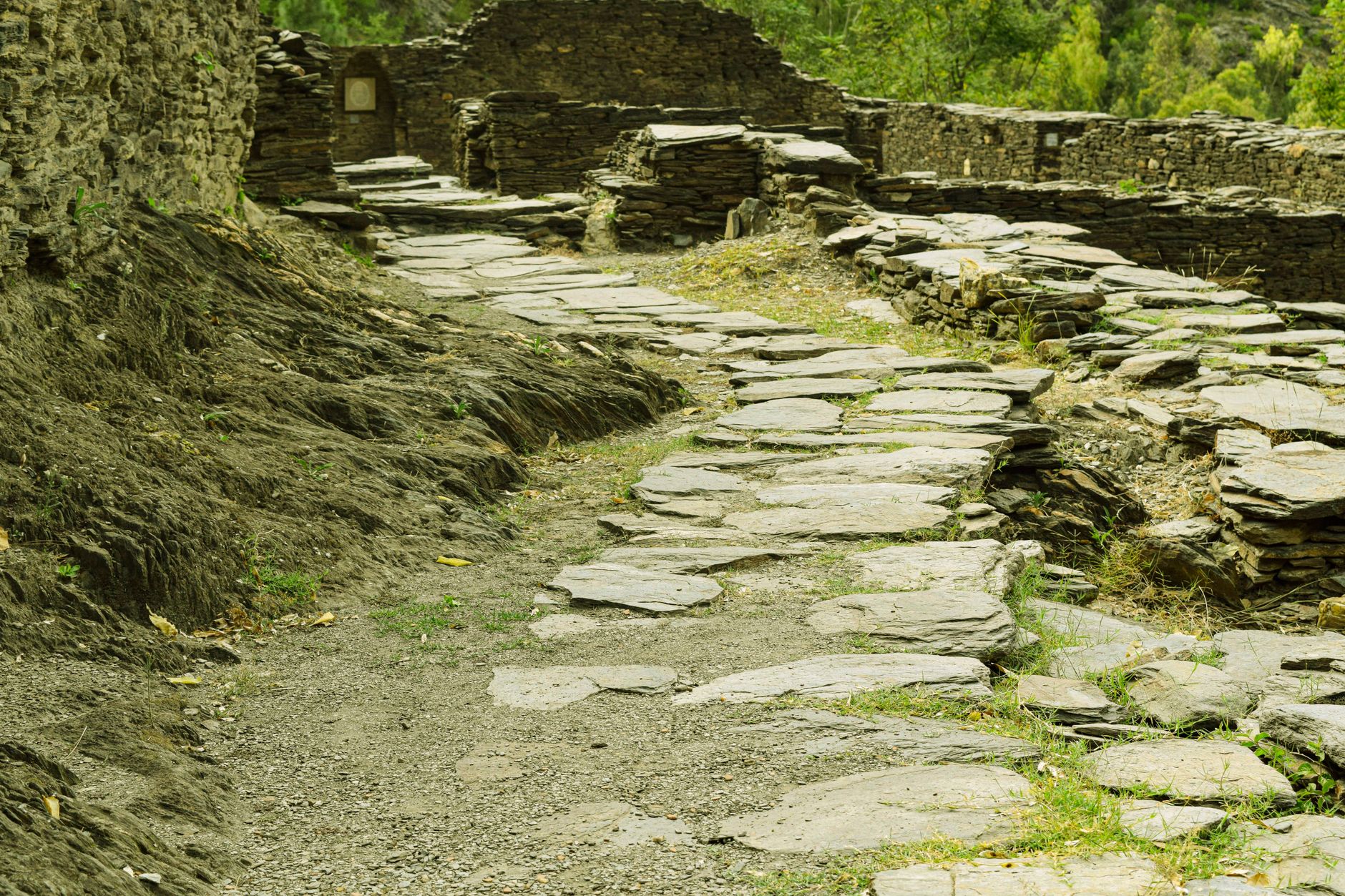 Tse'k'wa: 12,500 years of Dane-zaa history in one archaeological site