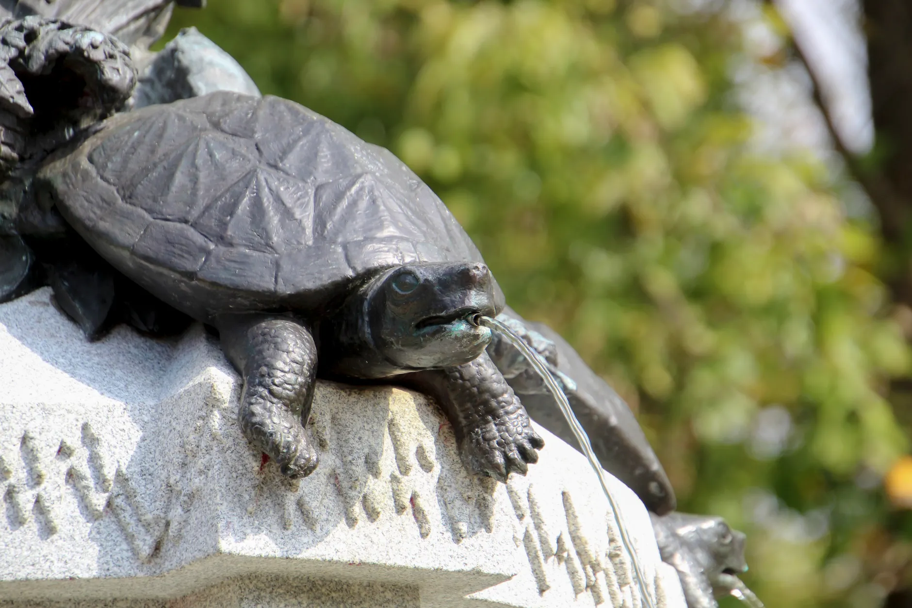 Five bronze sculptures stolen from Richmond Hill's Lake Wilcox Park