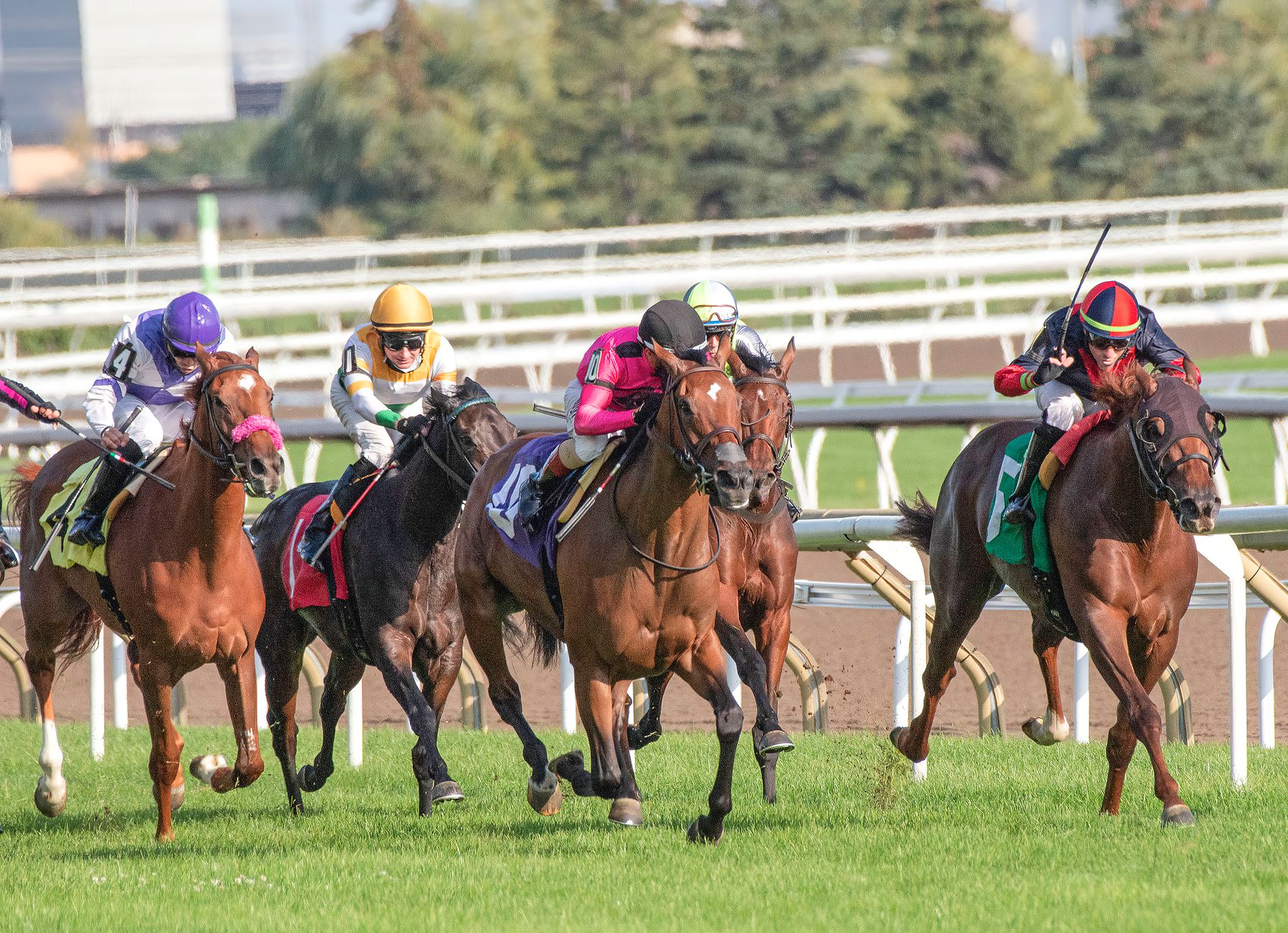 Century Downs Casino and racetrack in Calgary sold to Highfield Investment Group