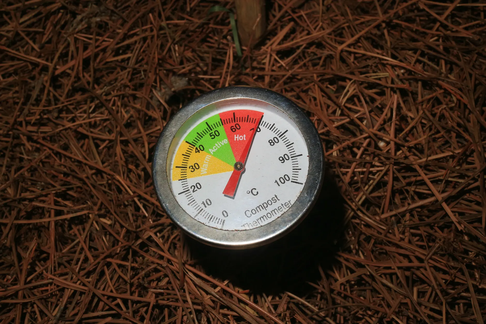 Orange-level heat warning remains as Ottawa reaches 35°C with little overnight relief