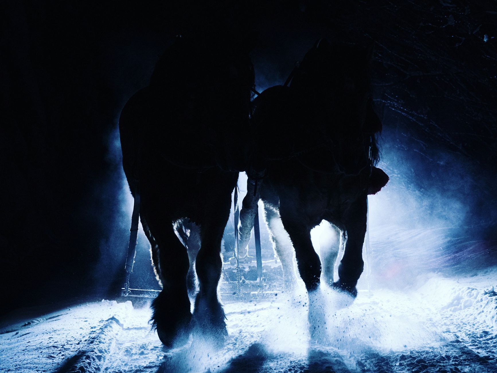 TIFF's TV premieres bring Slow Horses, Carrie, and five more series to Toronto