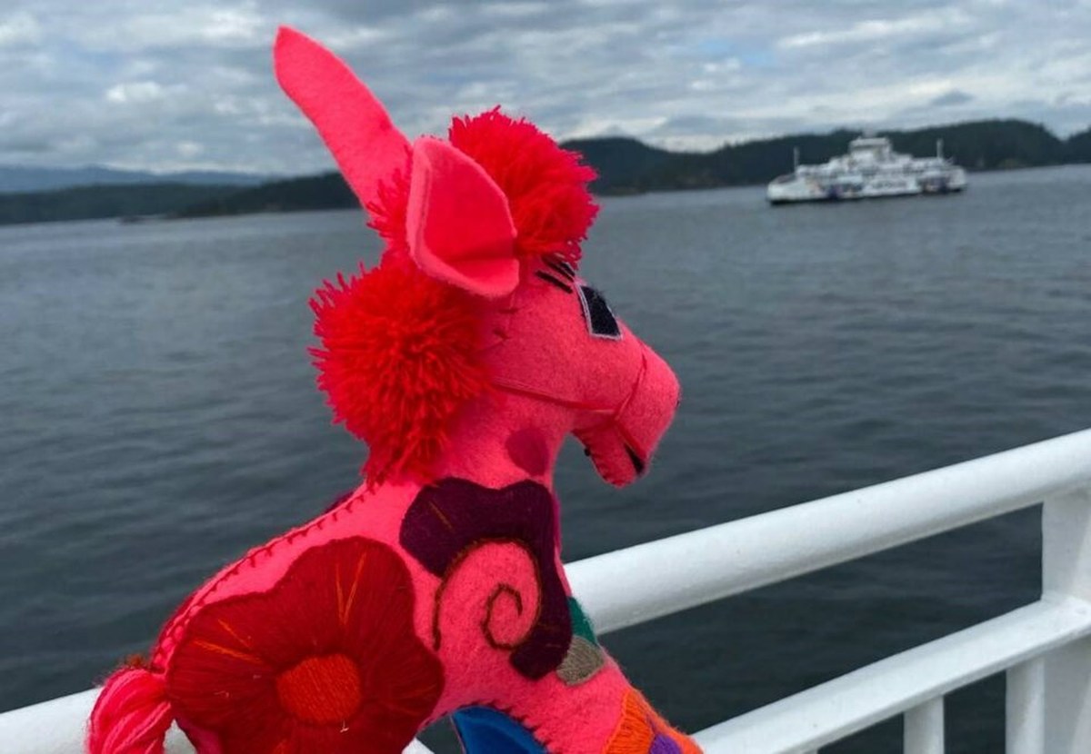 Five-year-old Alfie reunites with Churro the Burro after ferry adventure