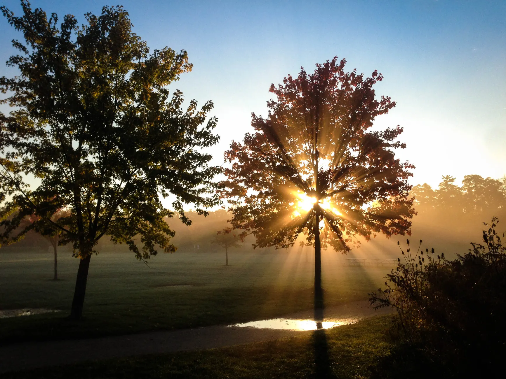Toronto police seek suspect in early-morning Scarborough park assault