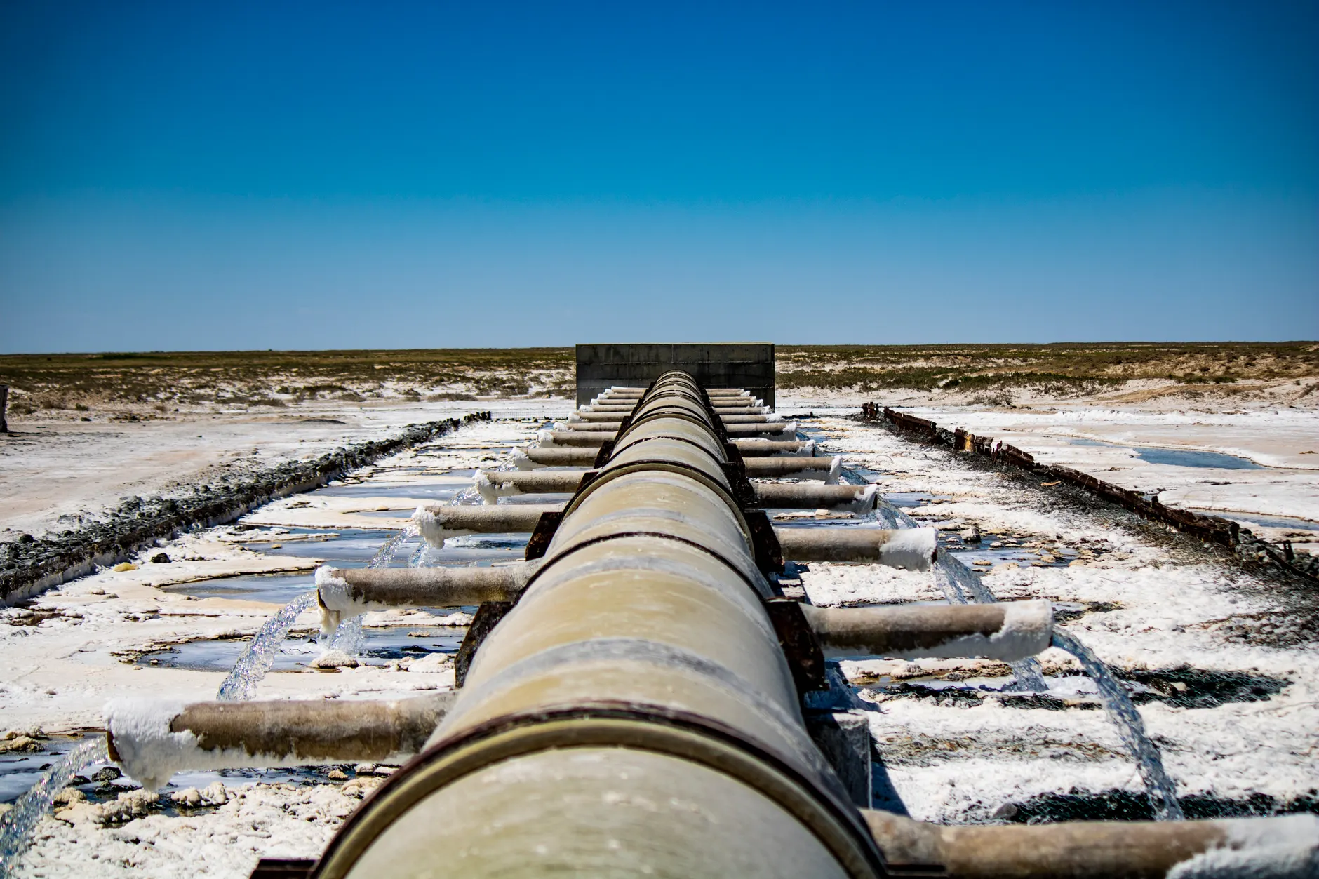 Federal government removes energy projects from dual environmental review, preserves species protections
