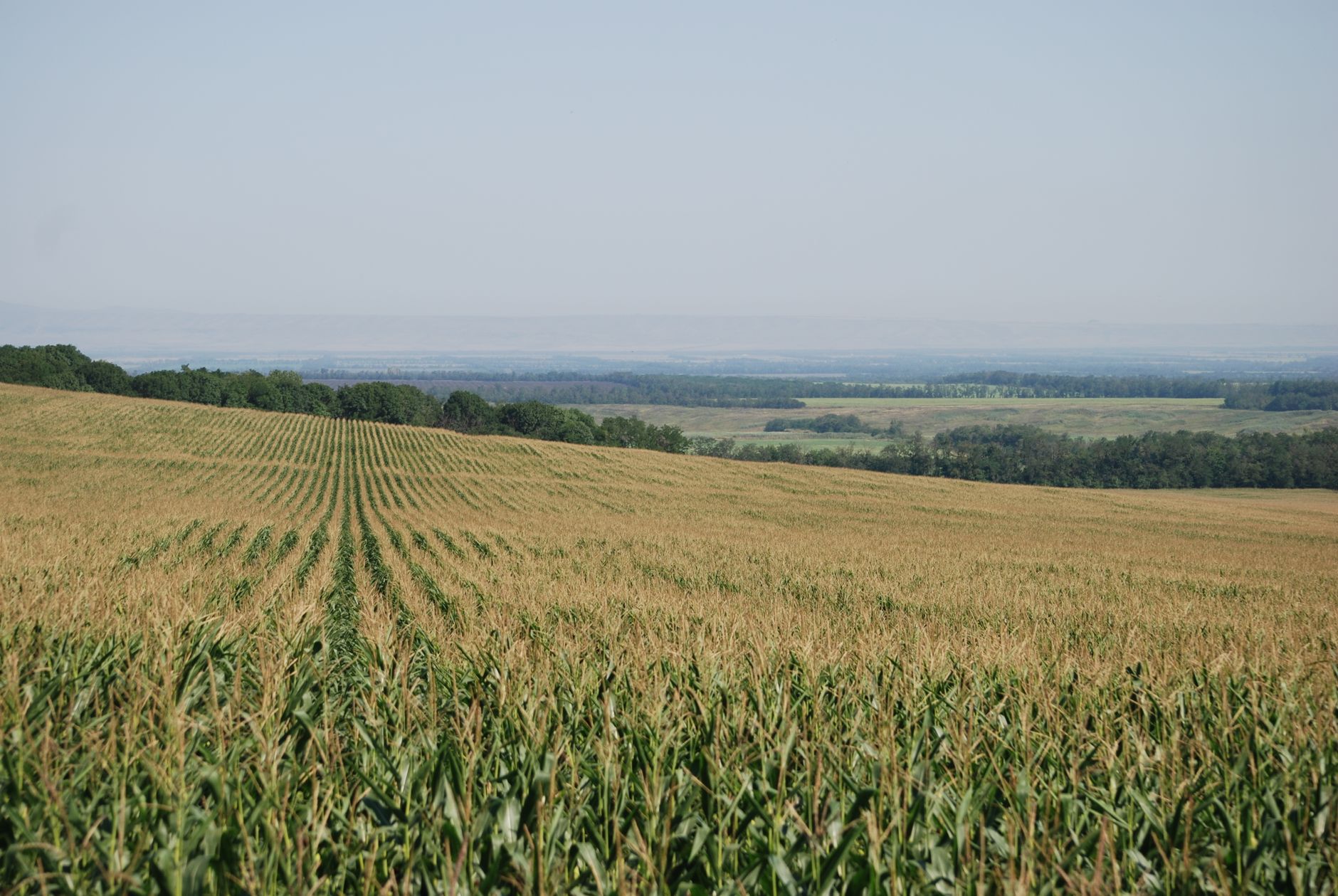 Man on trial for corn maze stabbing claims victim was Nazi recruiter