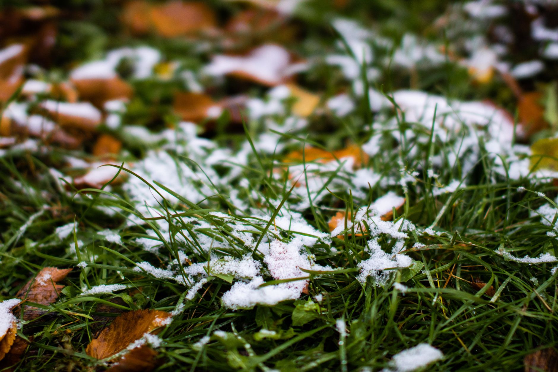 November forecast calls for snow as early as next week across southern Quebec