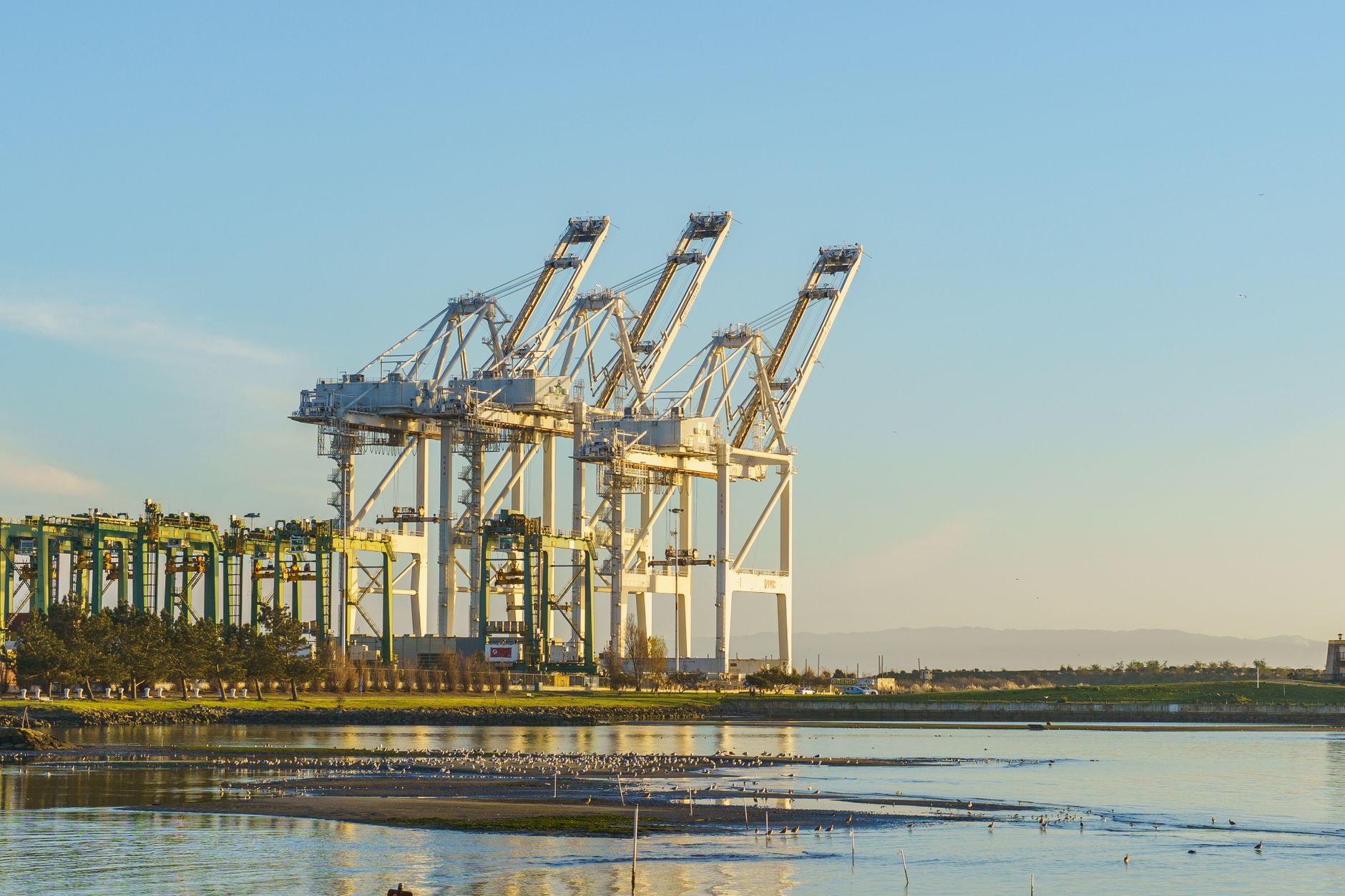 AI infrastructure boom driving surge in cargo theft