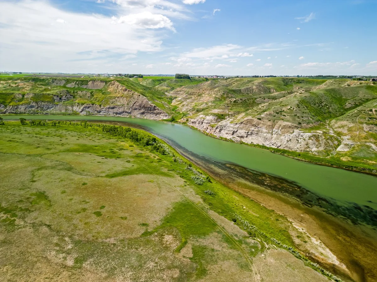 Southern Alberta native grassland saved through conservation deal