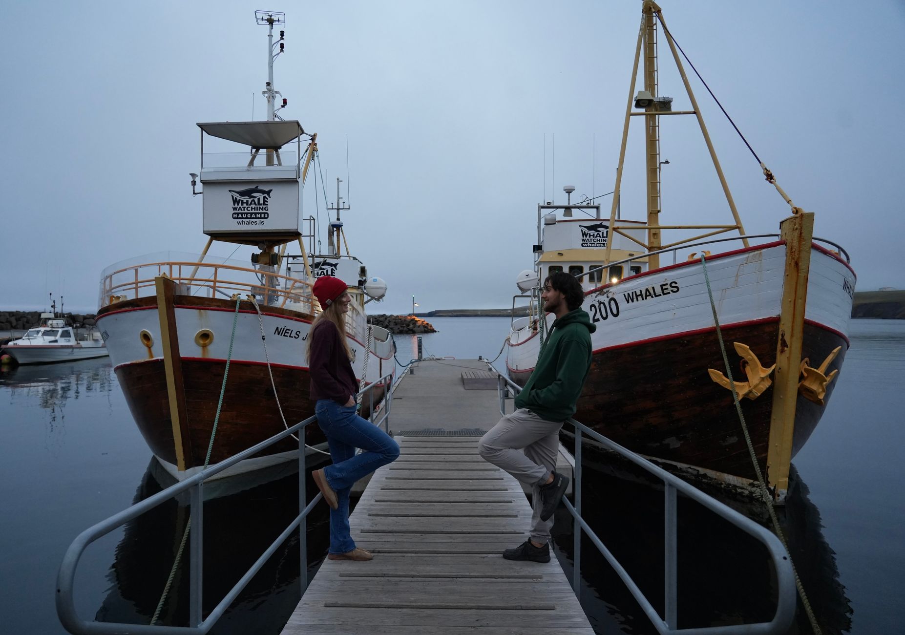 Canadian anti-whaling activist detained off Iceland after ship seized