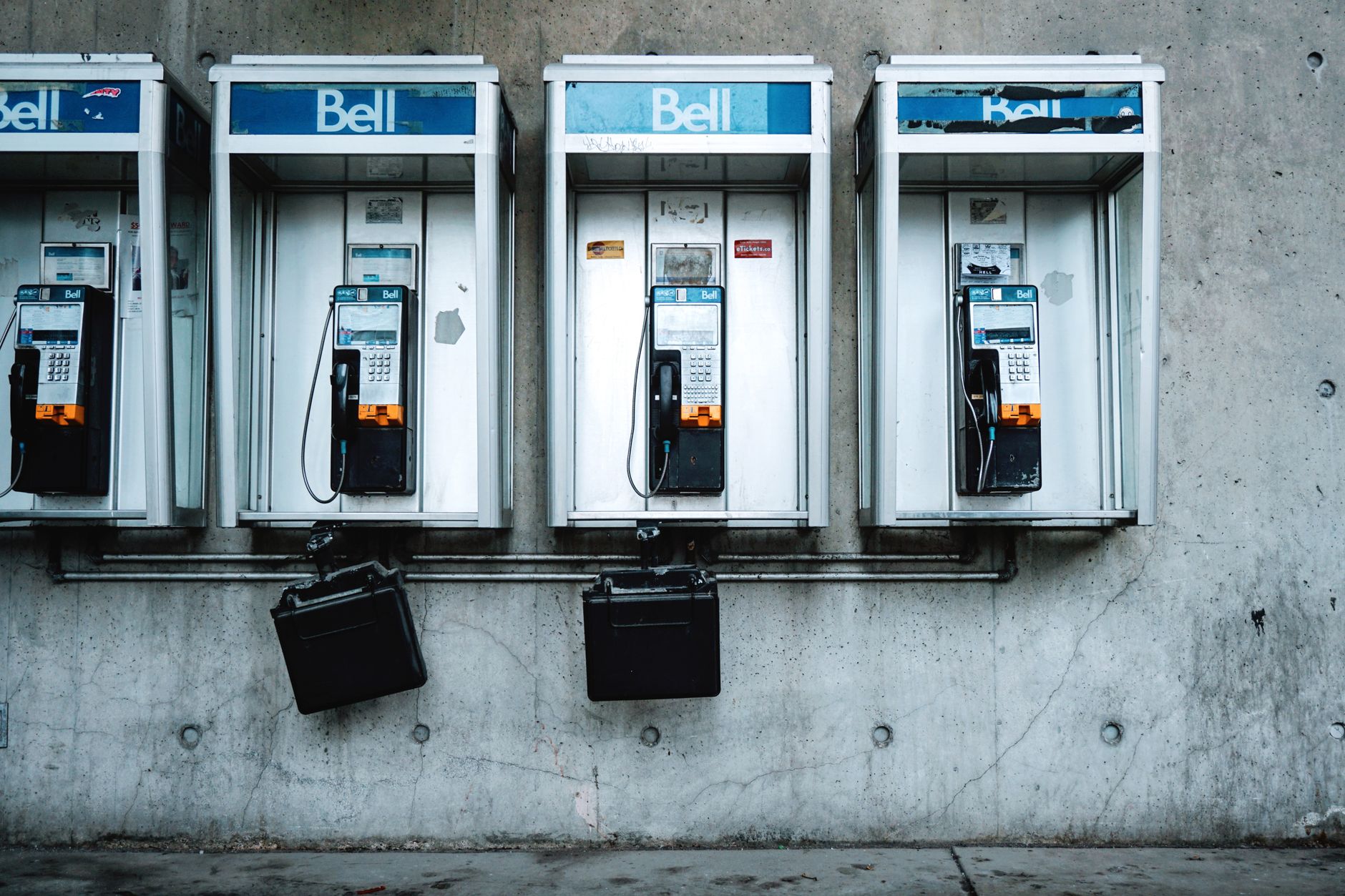 TIFF loosens phone policy at press screenings, sparking criticism from purists