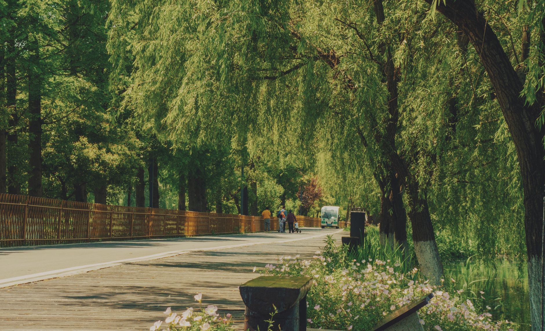 Delta's South Surrey Greenway expansion launches construction in 2028 with $11 million budget