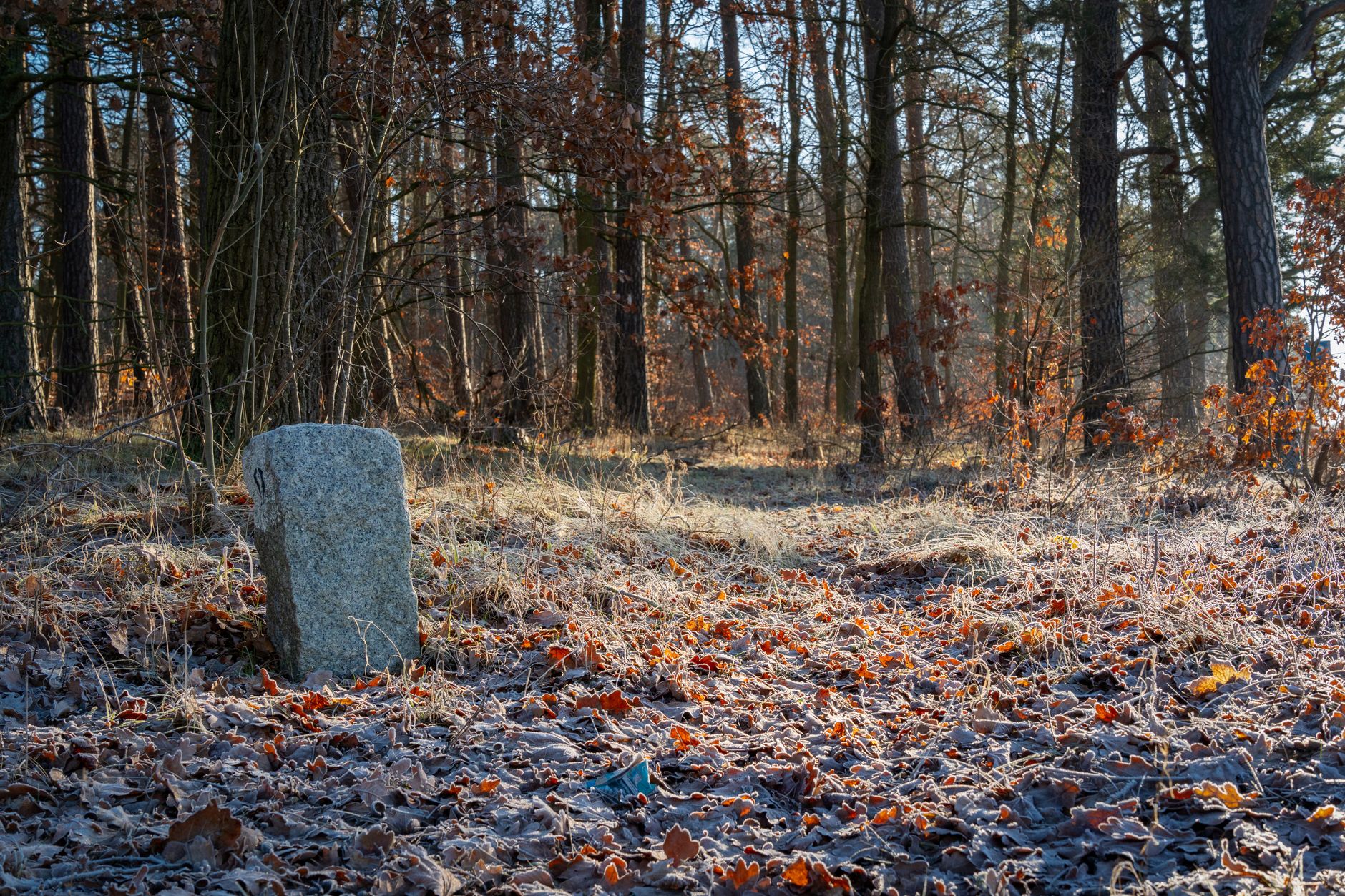 Murder charge laid 3+ years after Granit Ahmeti killed on Farmers Way