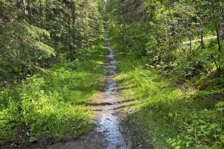 Kananaskis trails reopening as landscape dries after late-June flooding