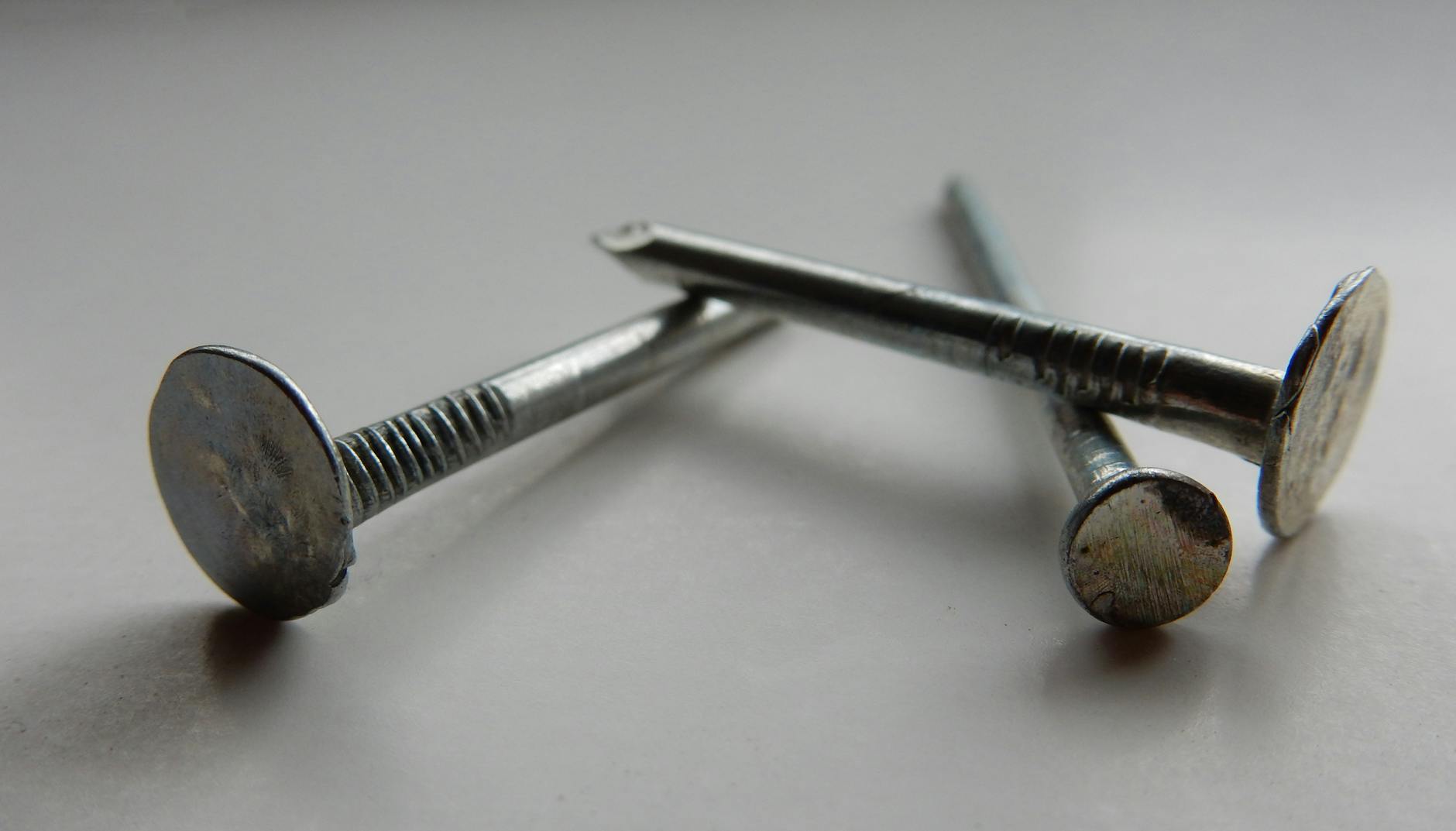 Crossbow bolt lodged in Orléans home under investigation