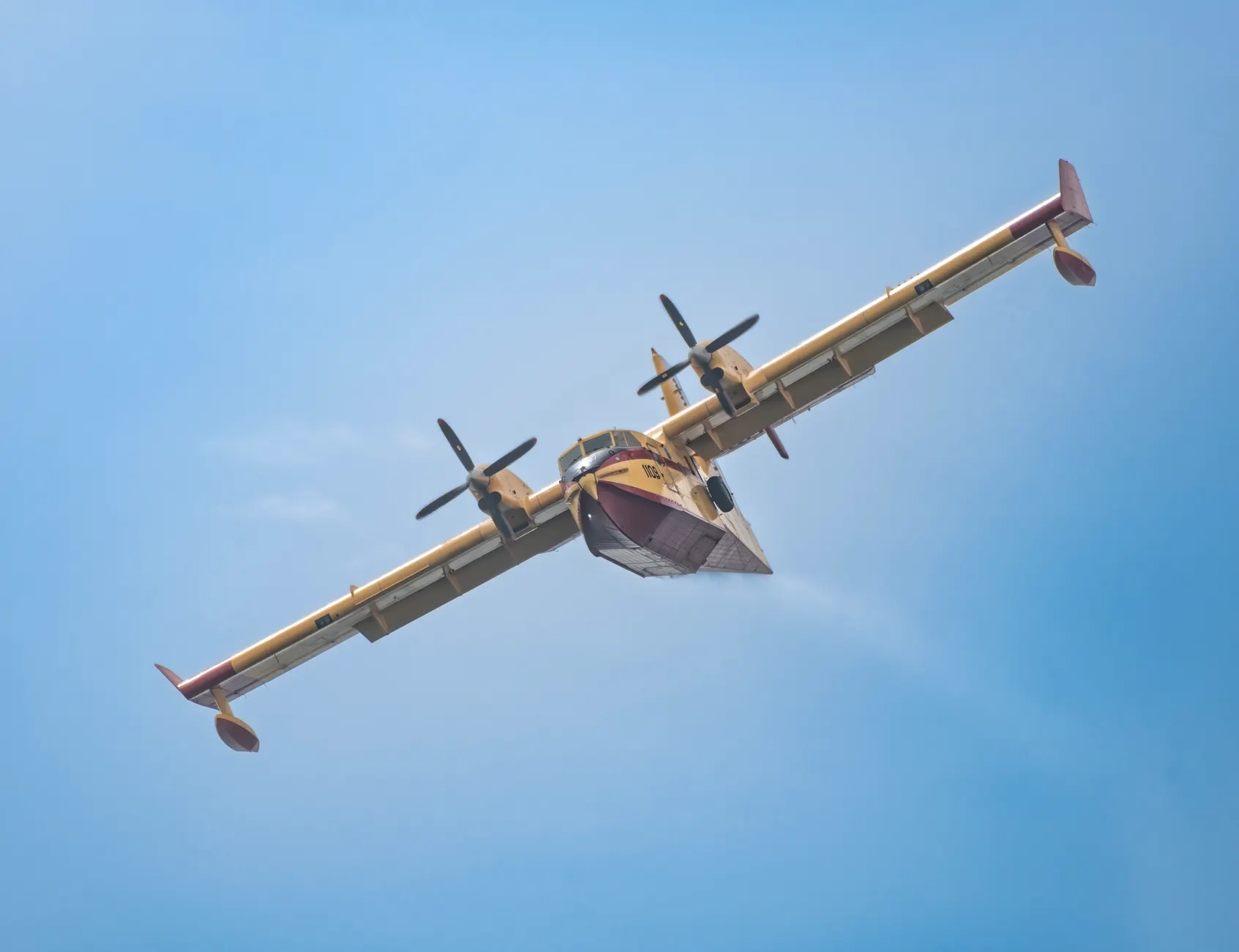 Quebec will launch aerial vaccine-baiting campaign Sept. 19 to 23 across three regions to combat raccoon rabies
