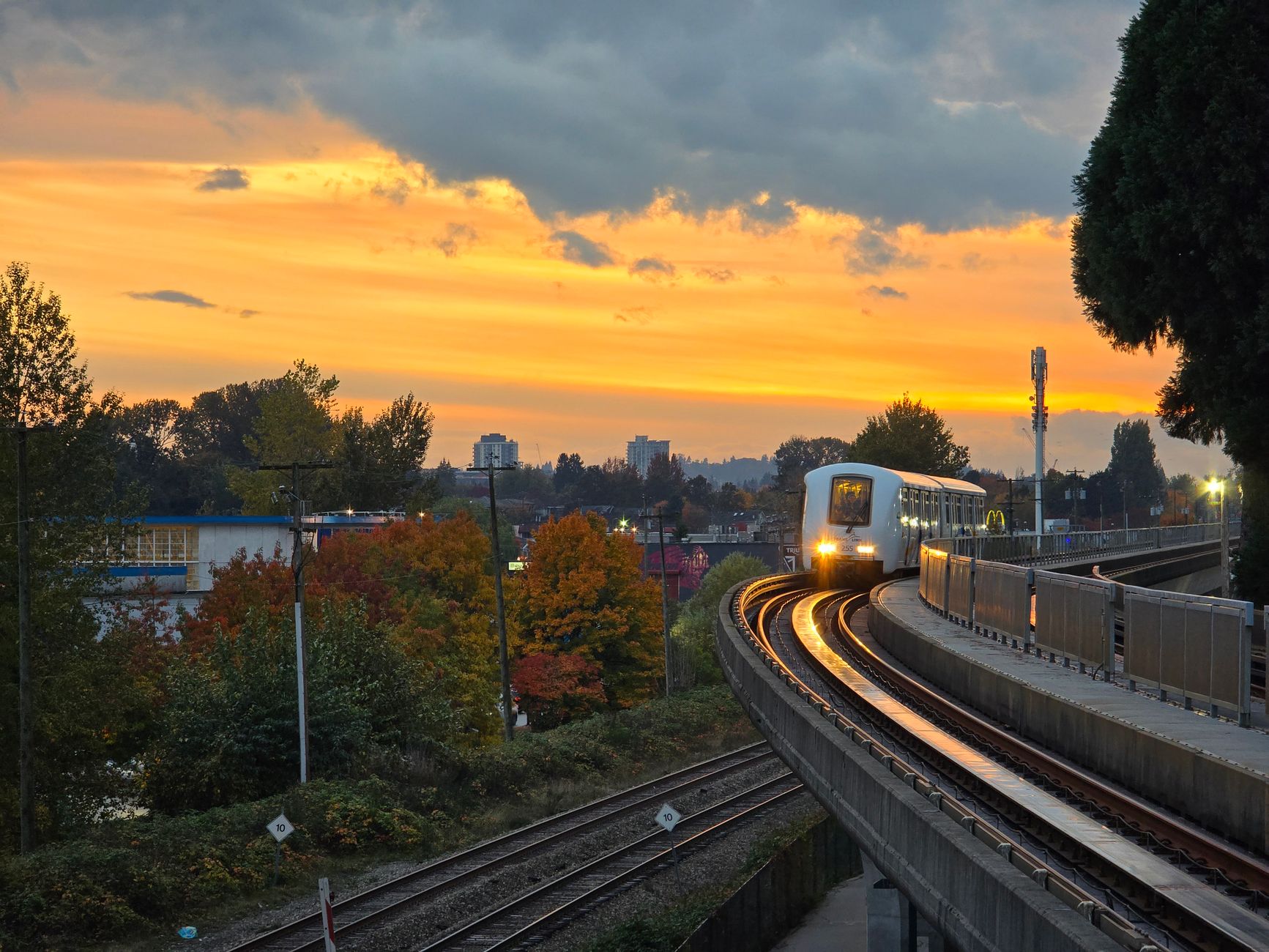 TransLink reverses Poetry in Transit cancellation after petition pressure