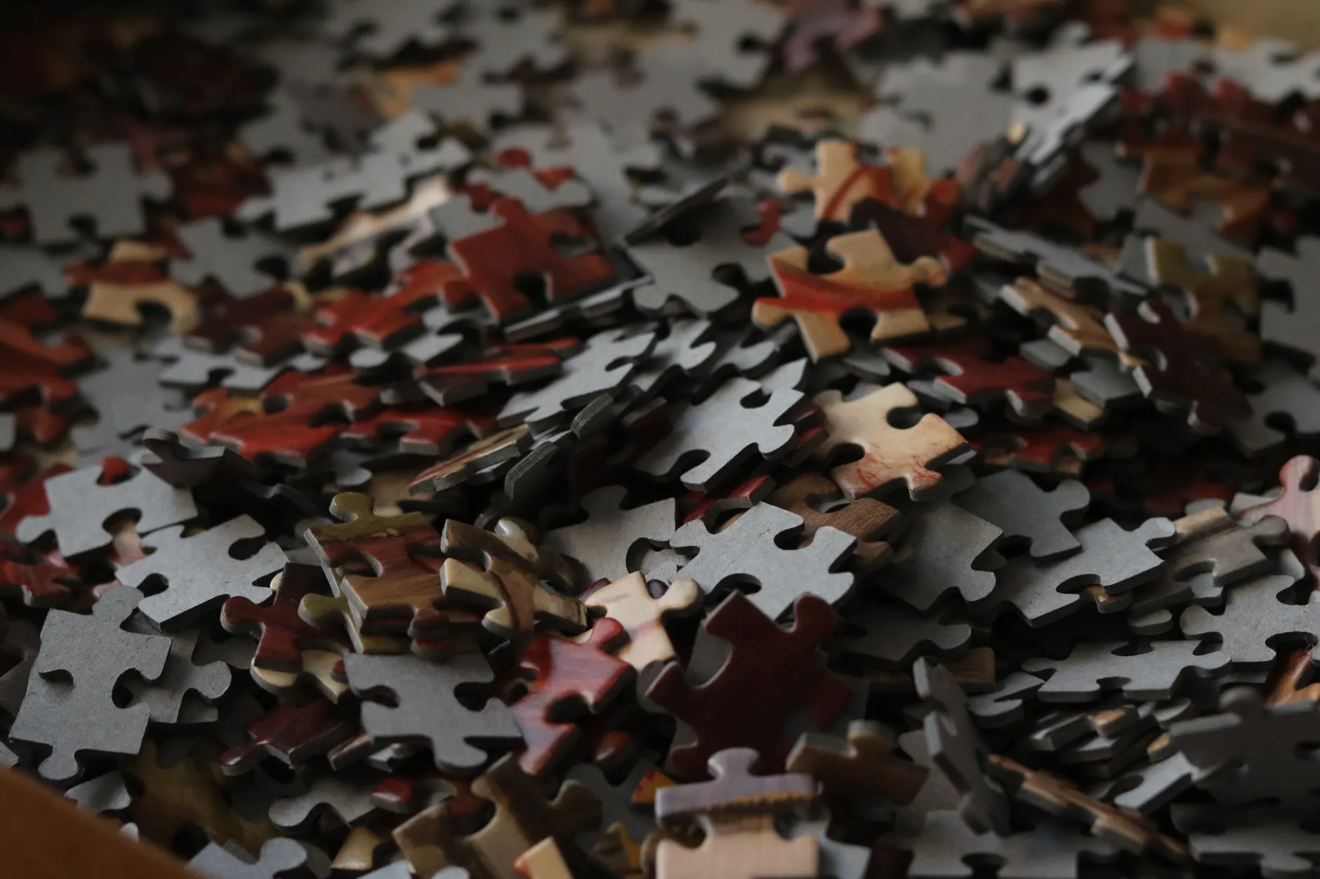 Speed puzzling transforms quiet hobby into competitive sport — World Championships draw 3,800 competitors