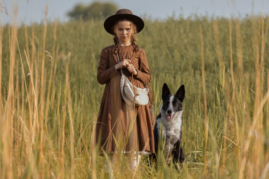 Streaming guide: 10 new series to watch across Netflix, Apple TV, Crave, and ICI Tou.tv