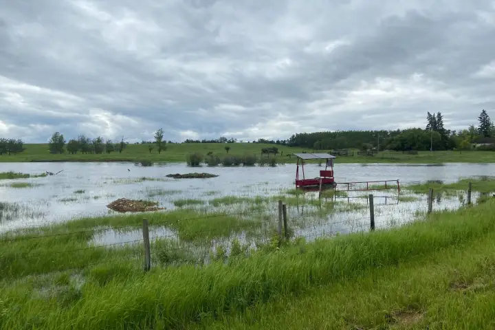 Farmland across Alberta submerged after weekend deluge