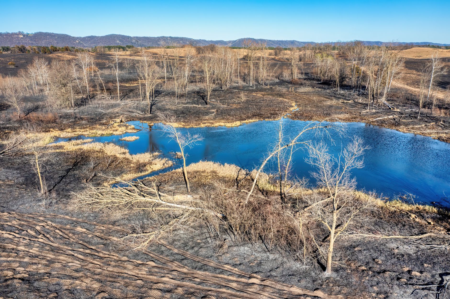 Pear Lake wildfire near Clinton grows to 90,475 hectares; extreme fire behaviour forecast