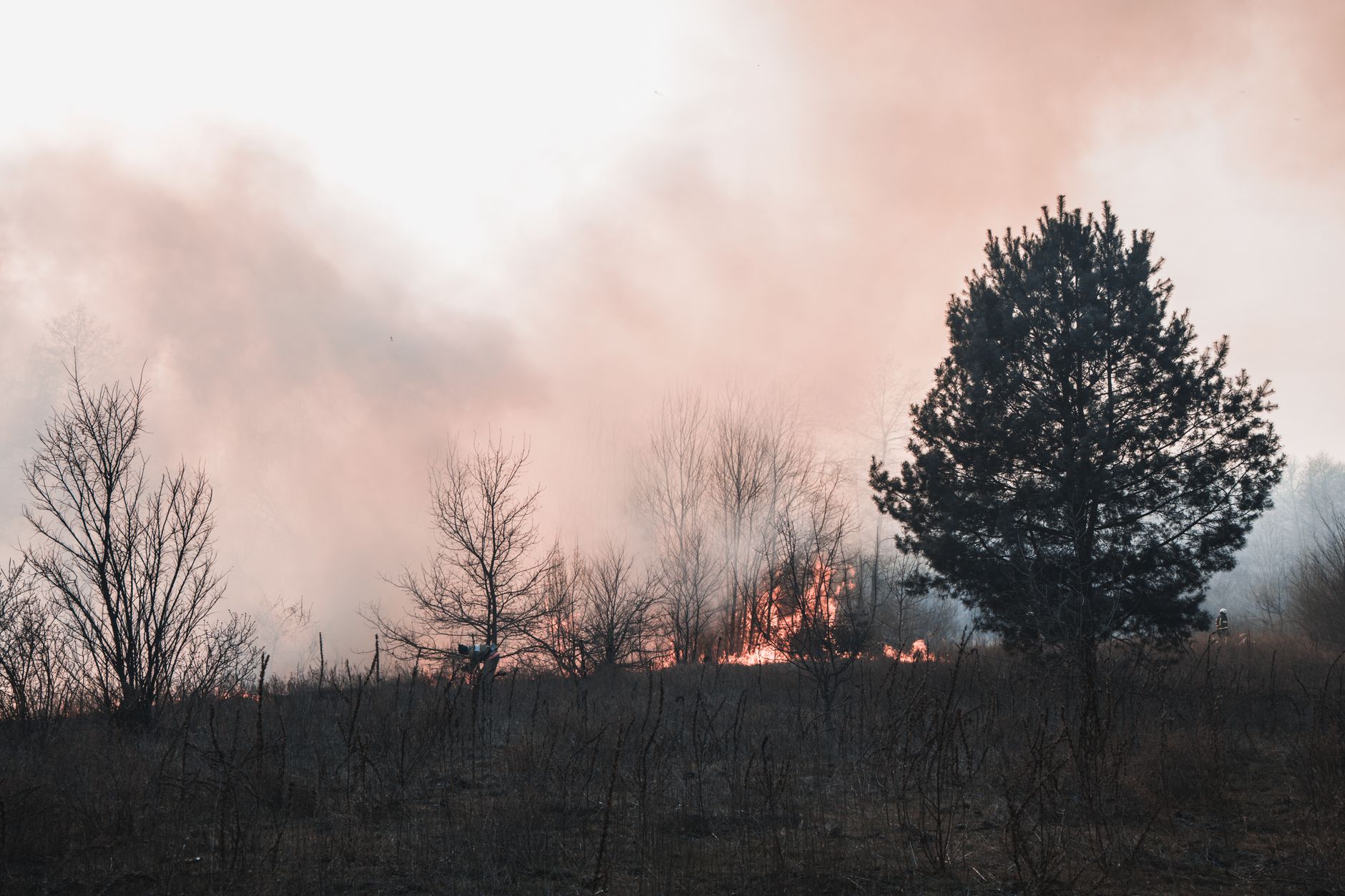 Vancouver choked by wildfire smoke as heat and lightning spark new fire risks