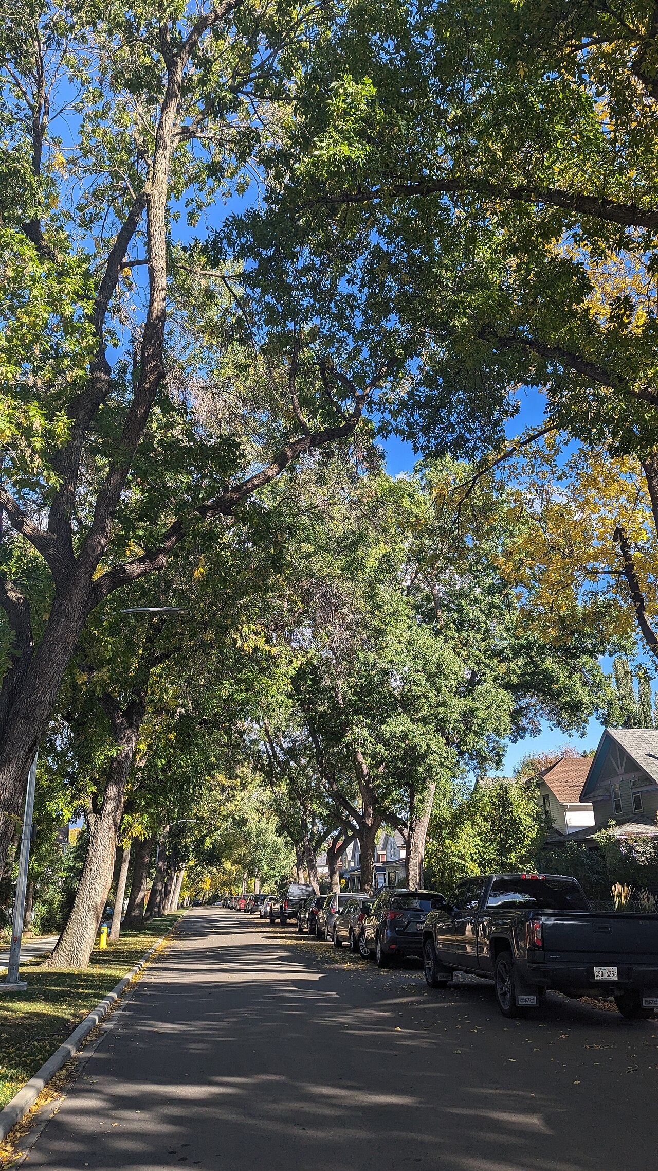 Found Festival and Whyte Avenue Artwalk weather Friday's violent storm with minor damage