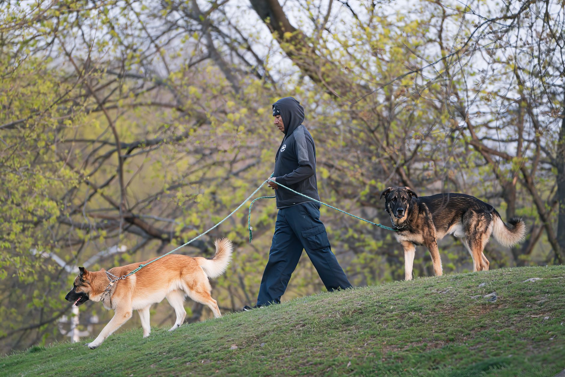 Sentencing underway for dog owner convicted in death of 11-year-old Kache Grist