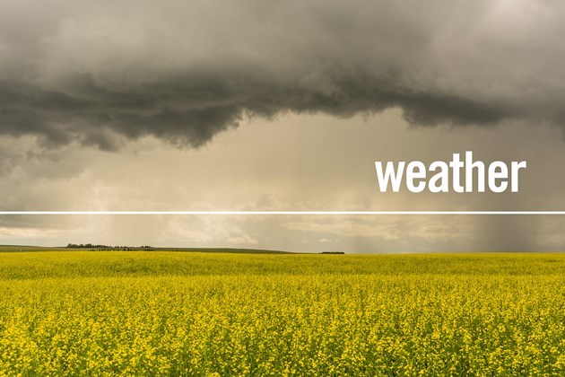 Heavy Rain Hits Calgary This Weekend