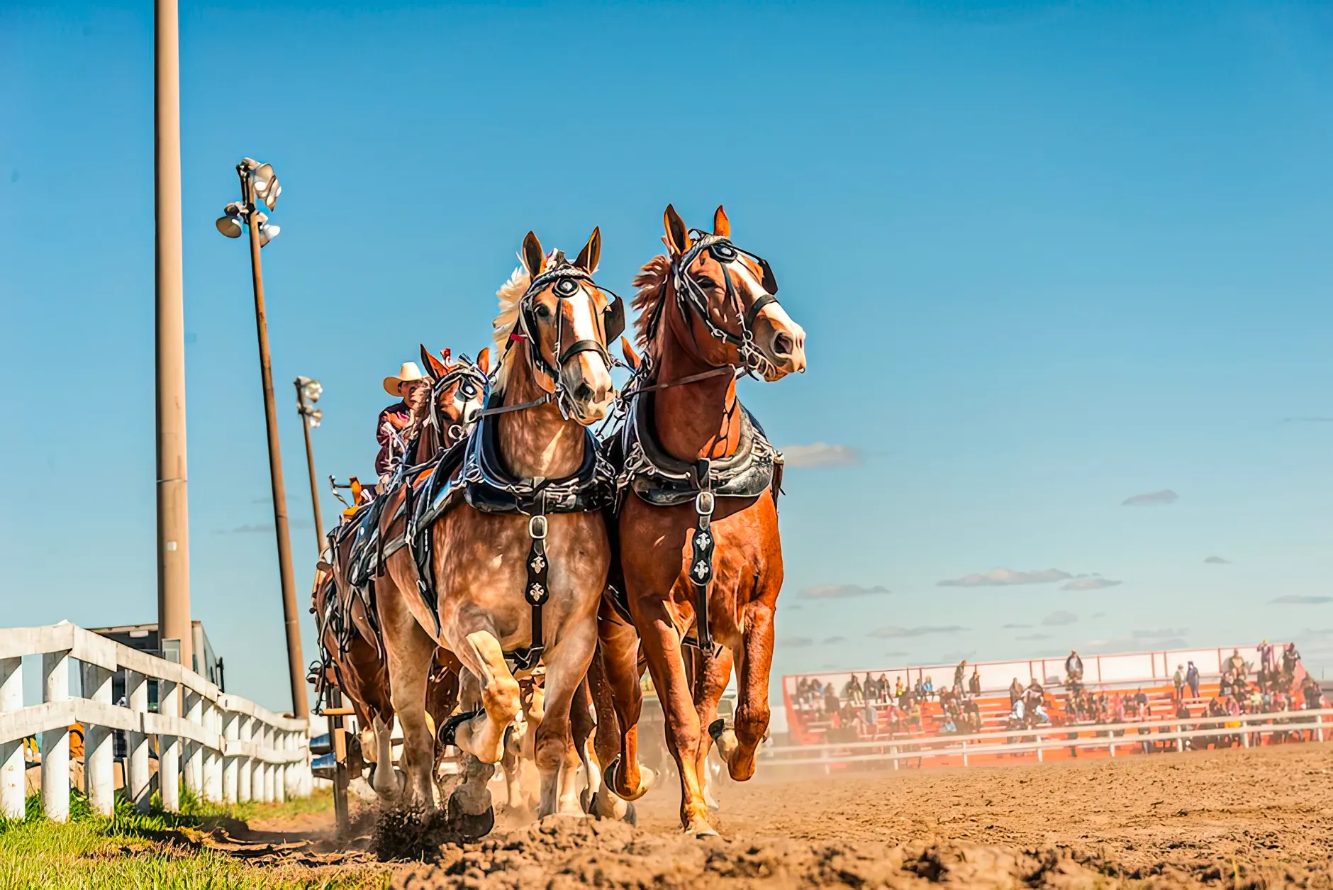 Jason Glass posts fastest time for second straight night at Stampede chuckwagon races