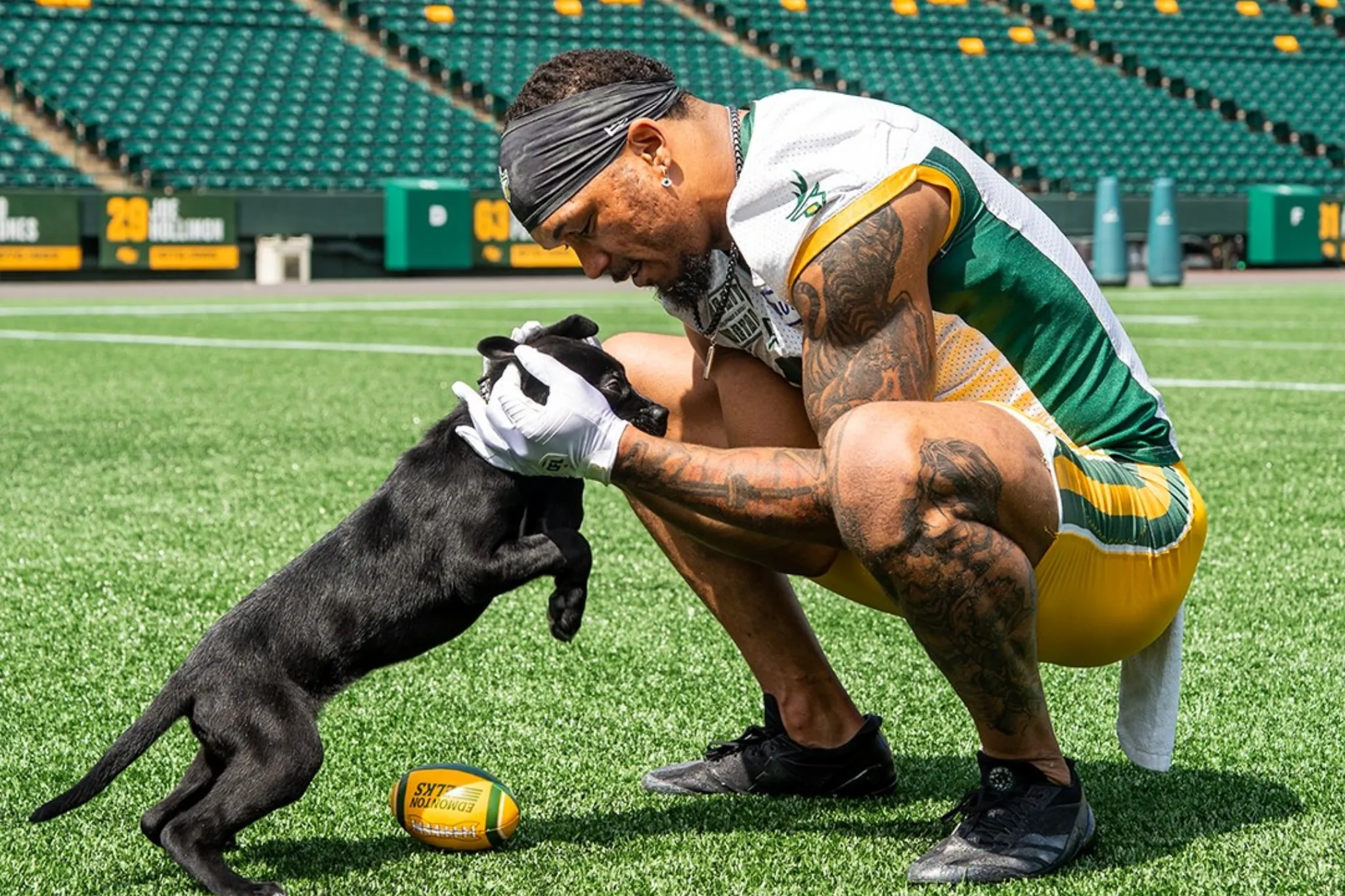Dogs welcome at Edmonton Elks game Friday as team hosts 'Dog Days of Summer'