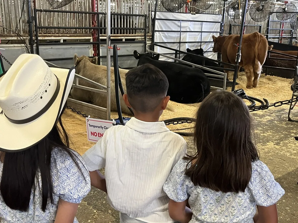 Federal government invests $4 million to boost Canadian beef exports globally
