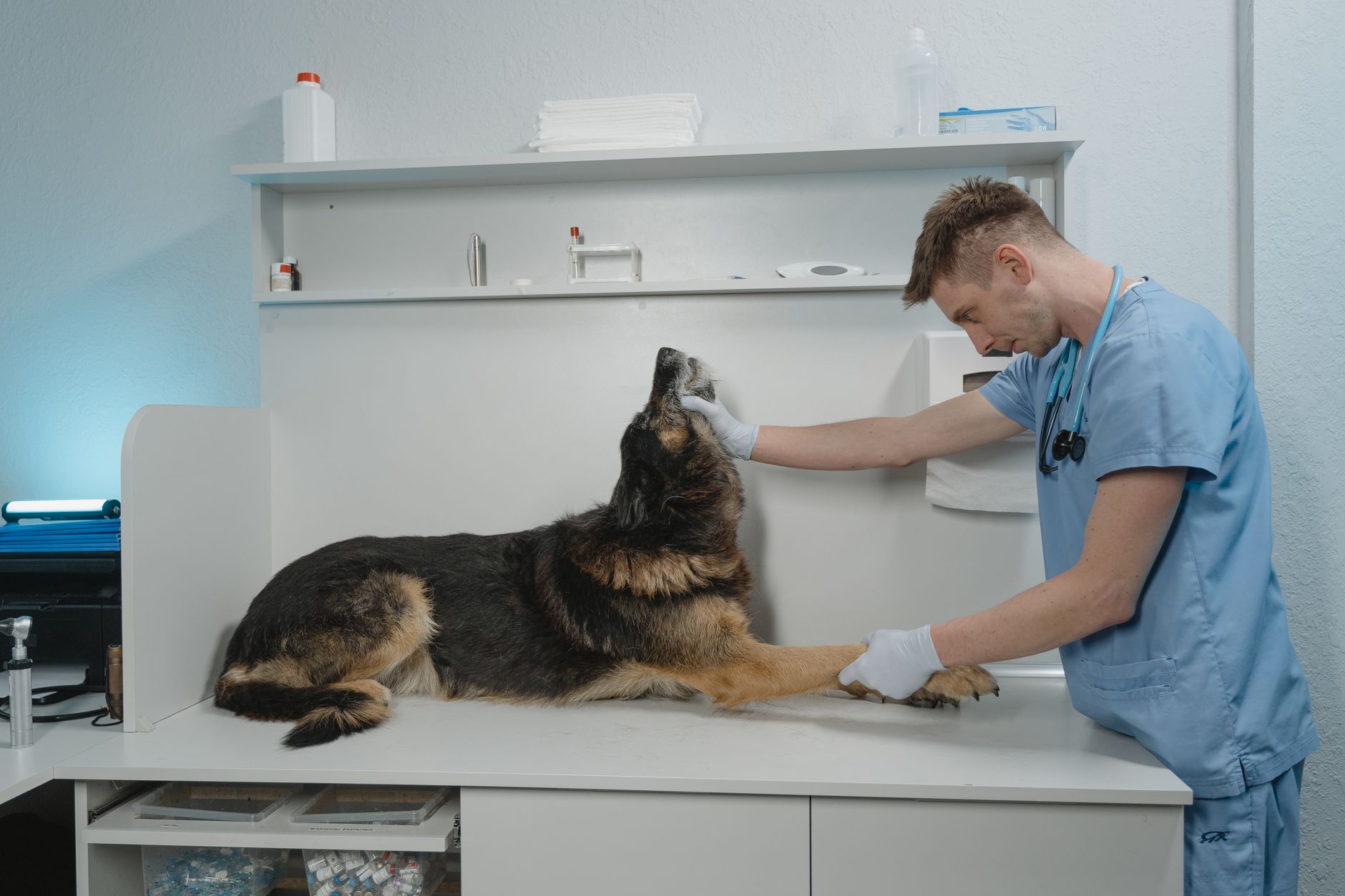 Okotoks emergency vet clinic SAVE closes Sunday with final adoption event and mystery announcement
