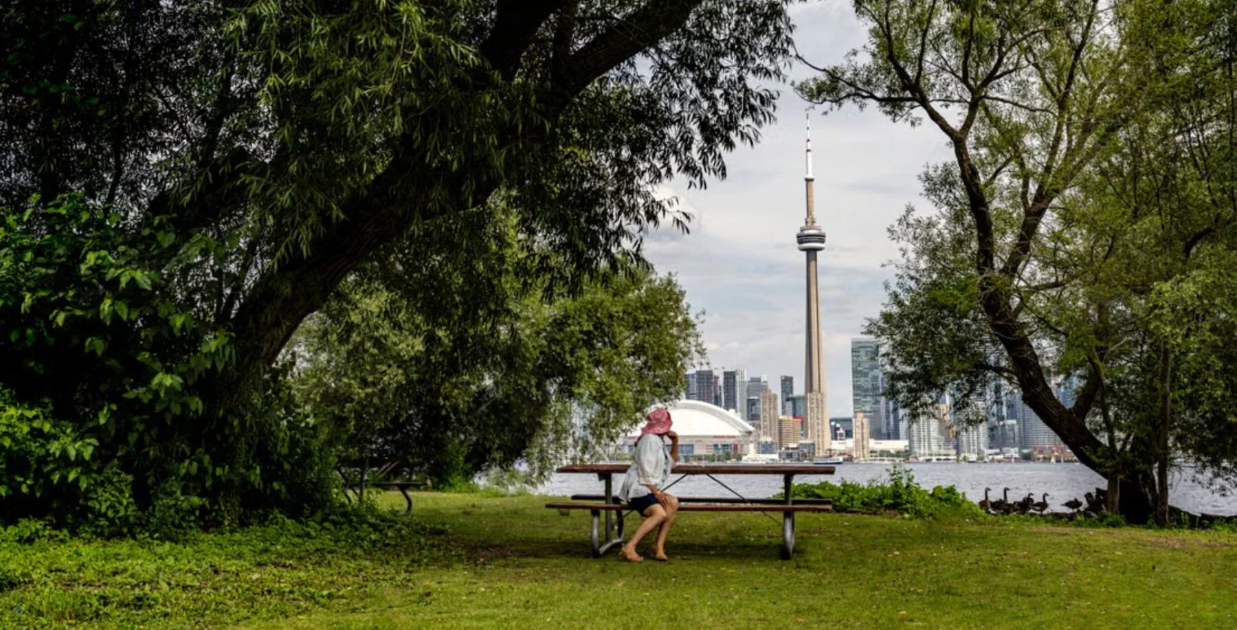 Toronto braces for hottest summer in years