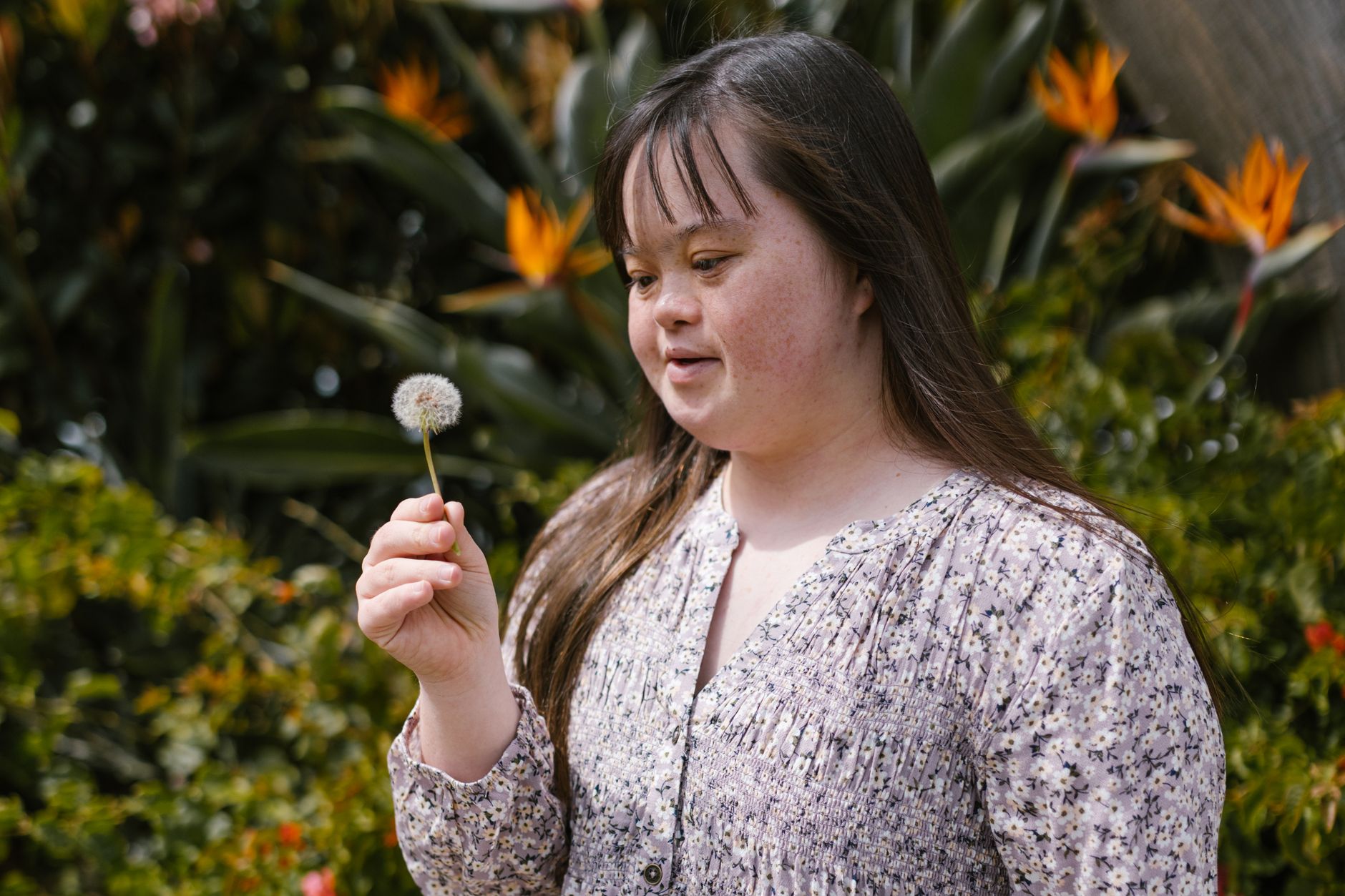 Mélissa Perron follows autism diagnosis memoir with graphic novel Femme renarde
