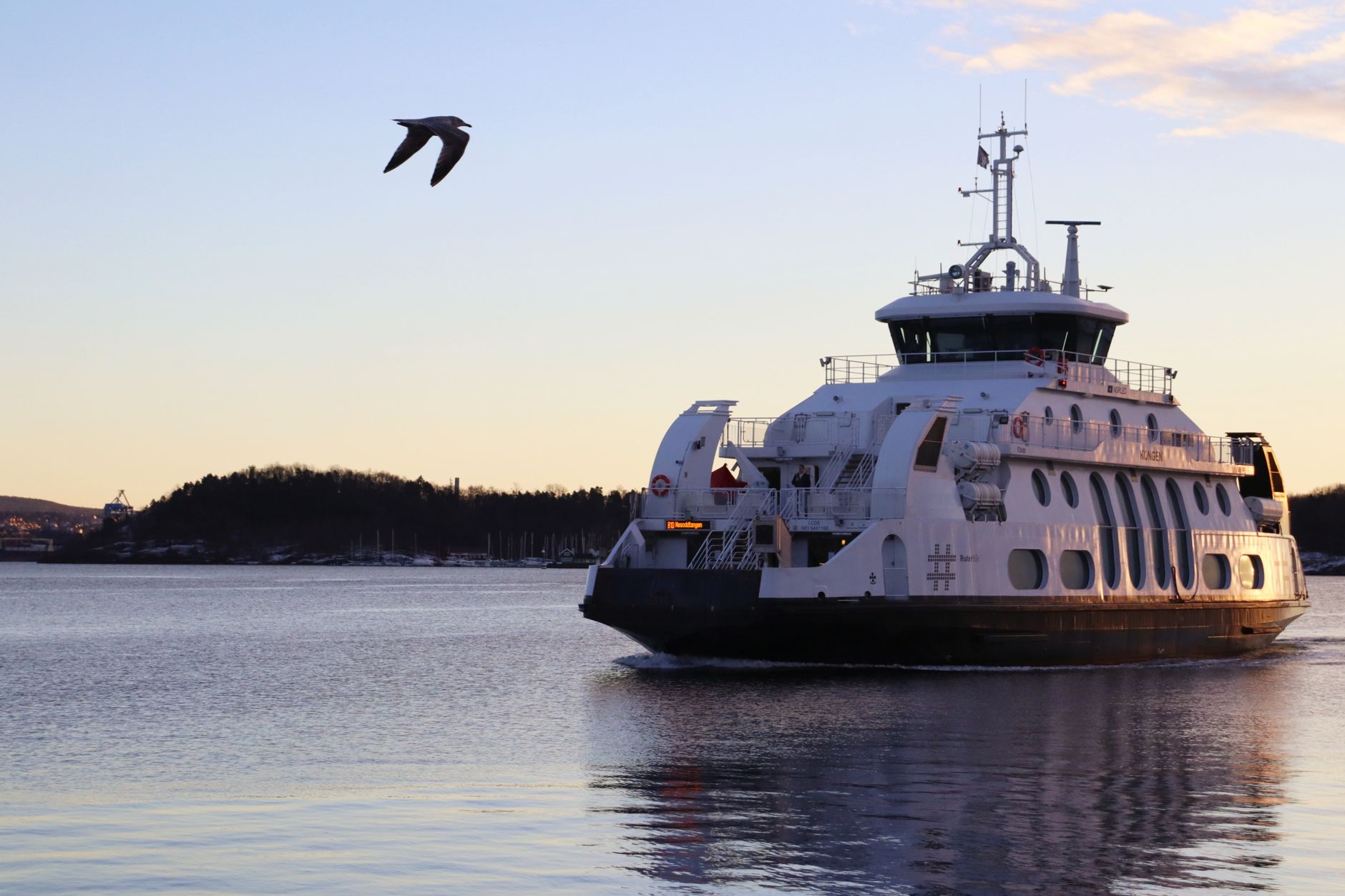 BC Ferries targets 50% cut in underwater noise for Southern Resident orcas by 2036
