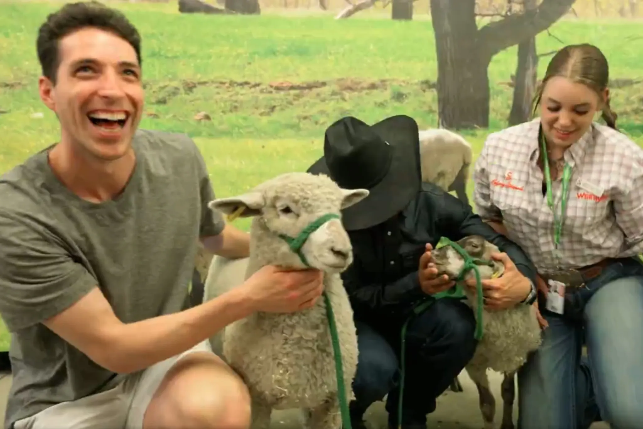 Calgary Flames goaltender Devin Cooley groomed sheep at Calgary Stampede