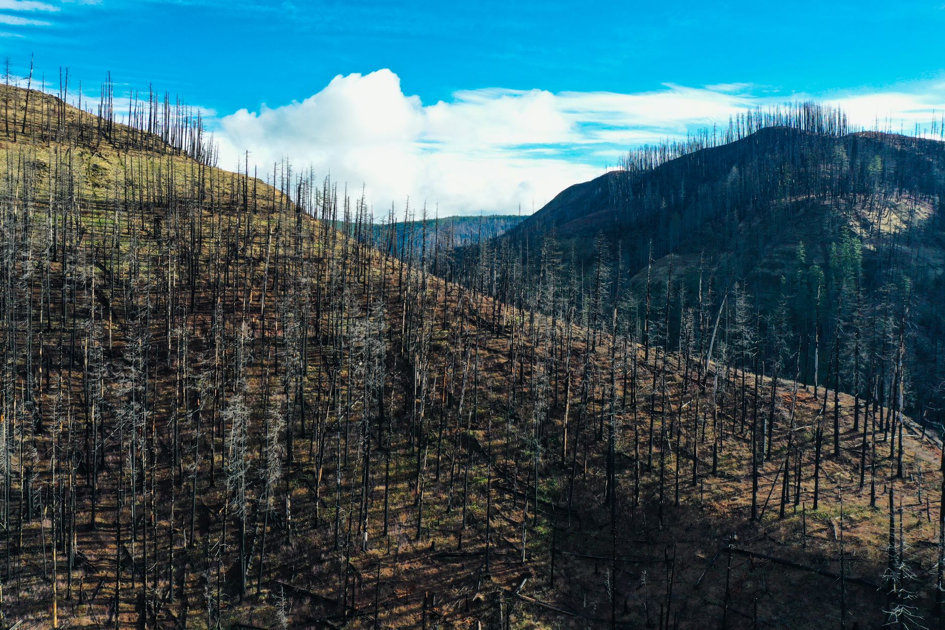 Bald Range wildfire grows to nearly 20,000 hectares as evacuation orders ease in Summerland