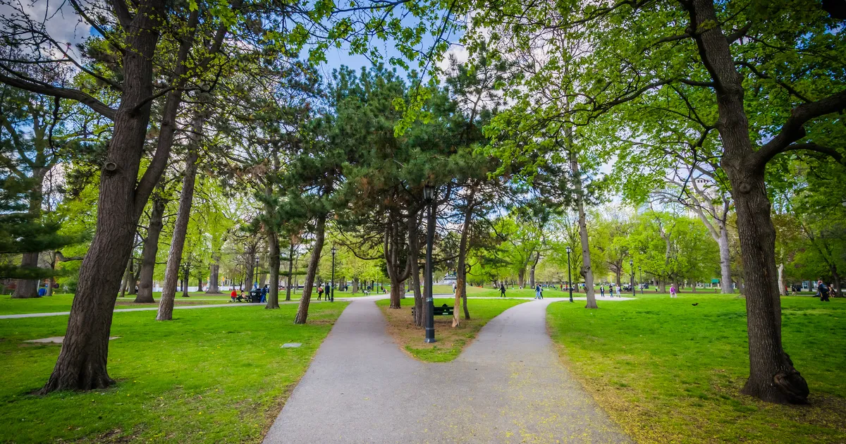 Queen's Park North redesign scaled back after resident outcry